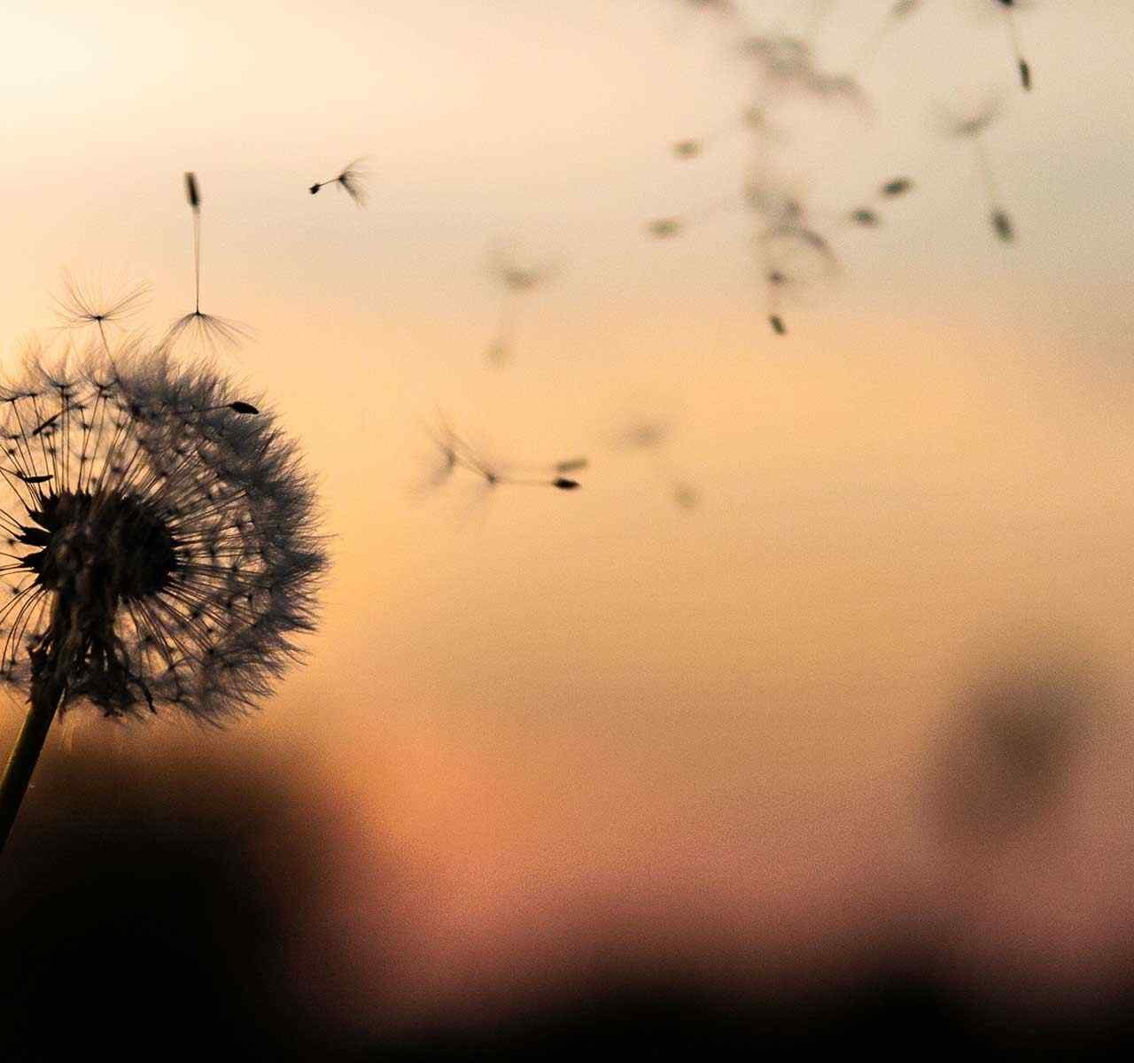 http://jonathandeloera.com/wp-content/uploads/2018/09/post_02-1280x1200.jpg