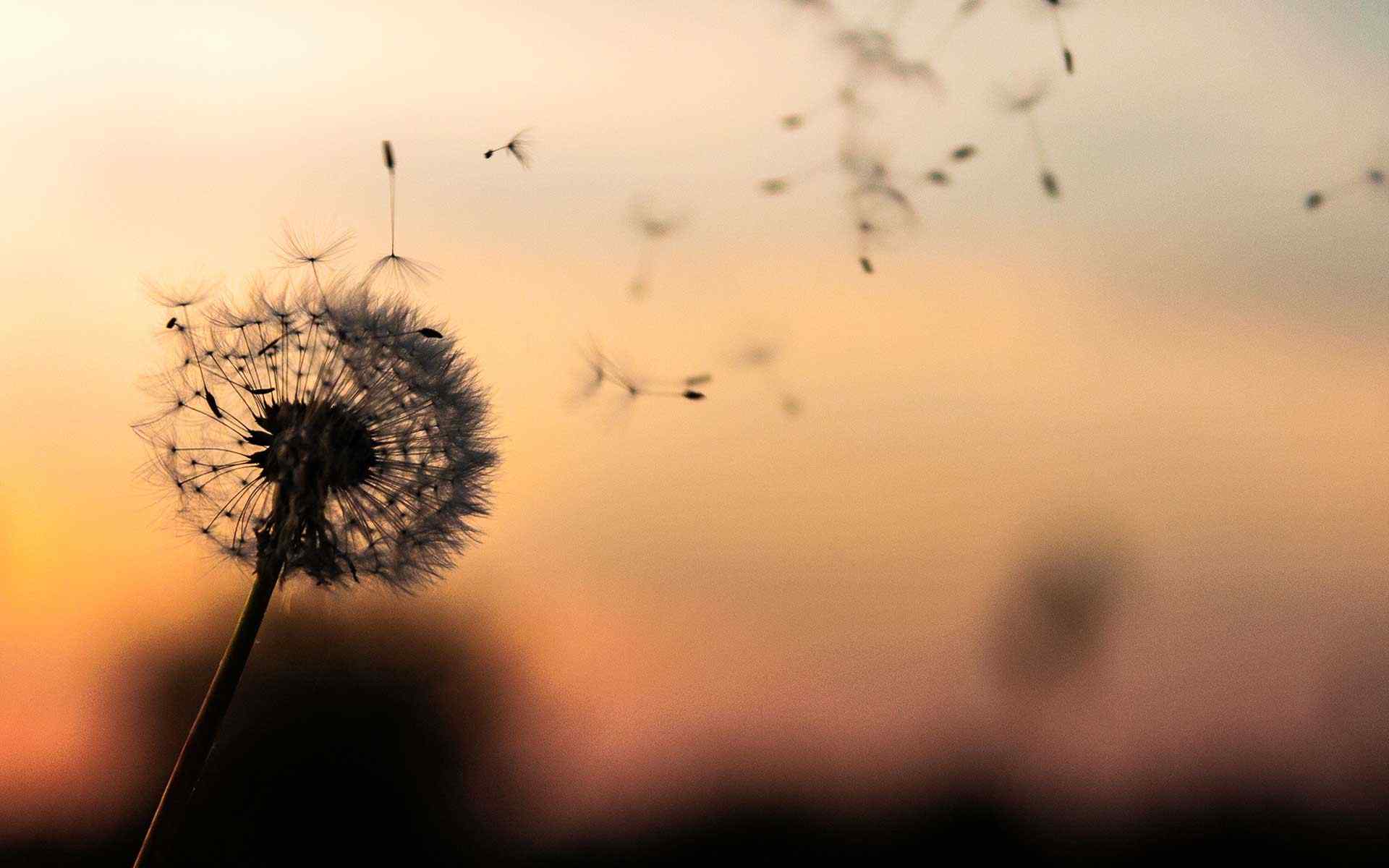 http://jonathandeloera.com/wp-content/uploads/2018/09/post_02.jpg